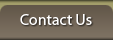 Contact Us Main Navigation Link