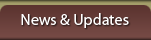 News & Updates Main Navigation Link